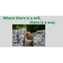 Where there is a will, there is a way