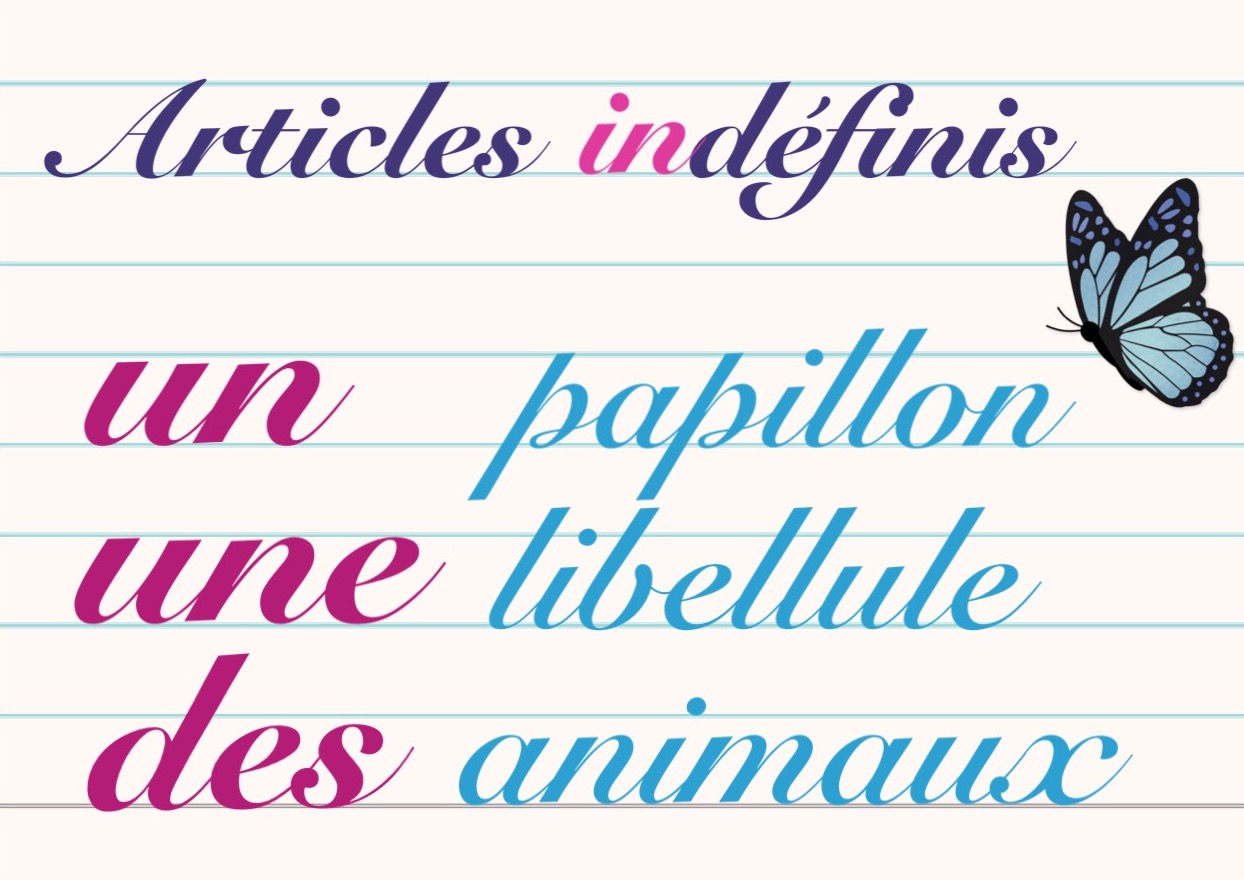 Articles INdéfinis