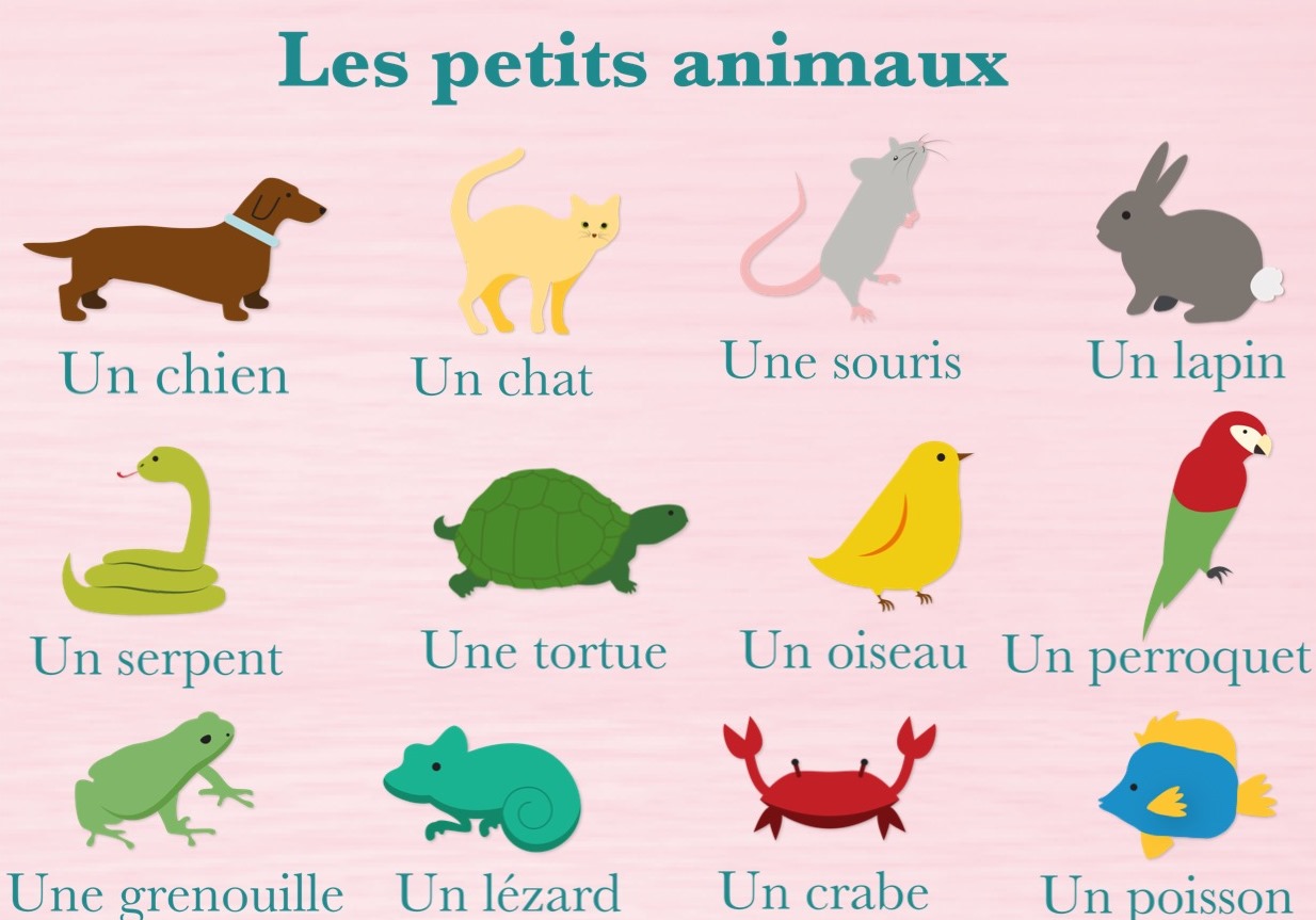 Animaux