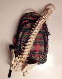 Columna mochila