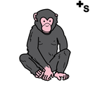 Chimpancé