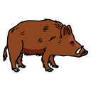 Xabaril ou porco bravo