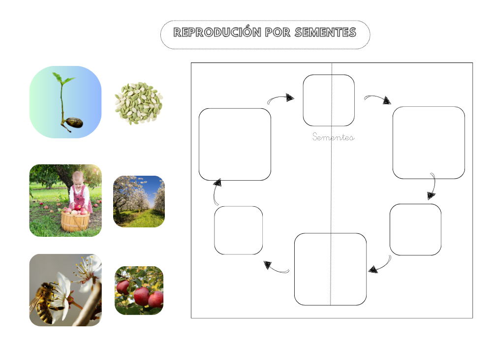 Planilla de traballo