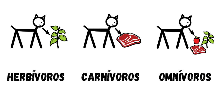 Tipos de alimentación