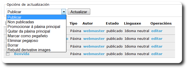 Opcións de actualización Opcións de actualización
