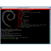 Consola Linux