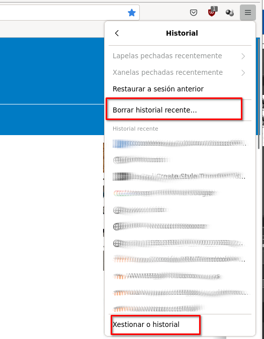 Borrar el historial