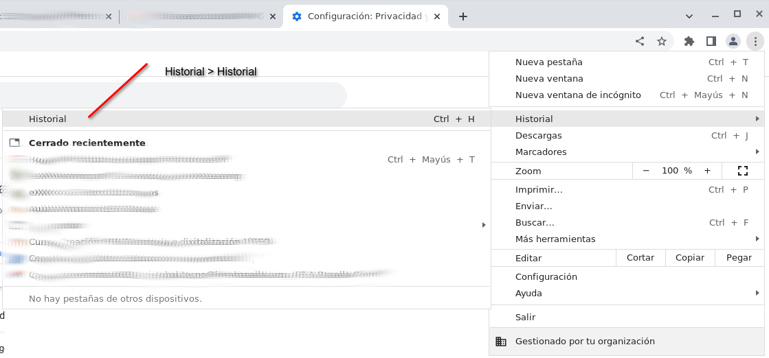 Acceso al historial en Mozilla