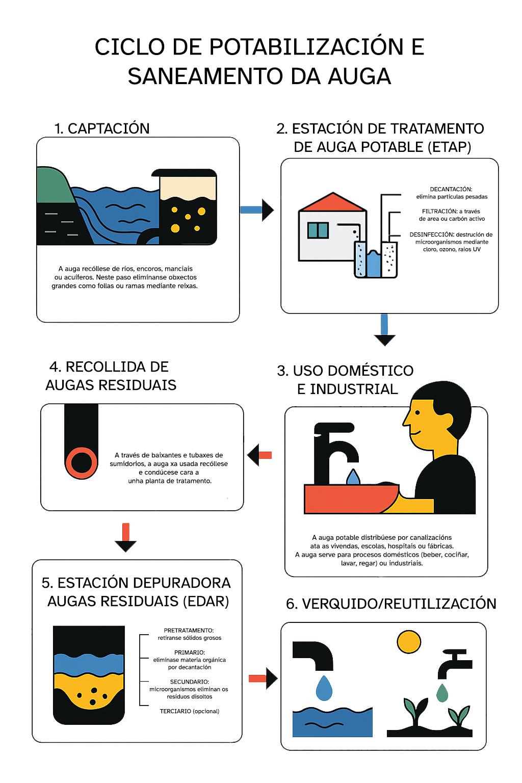 O ciclo da auga