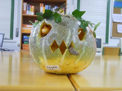 LECTURASTERROR-15.JPG