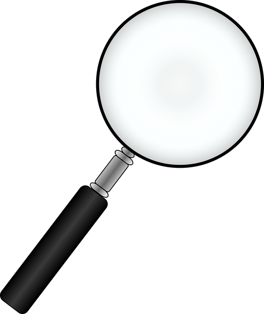 Lupa