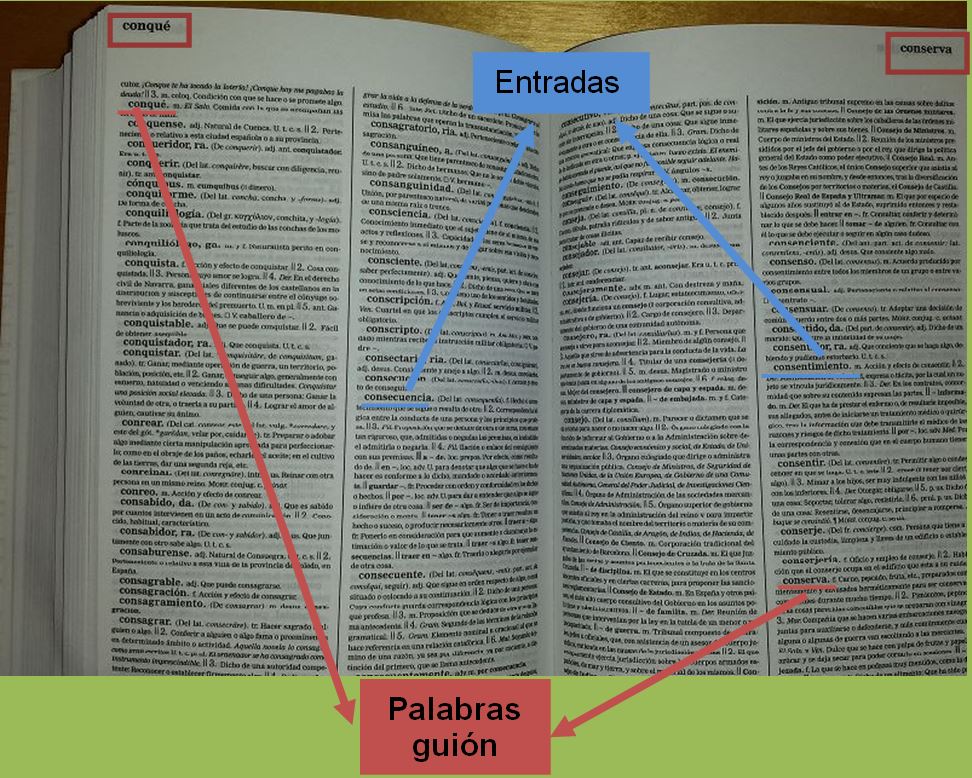 DICCIONARIO