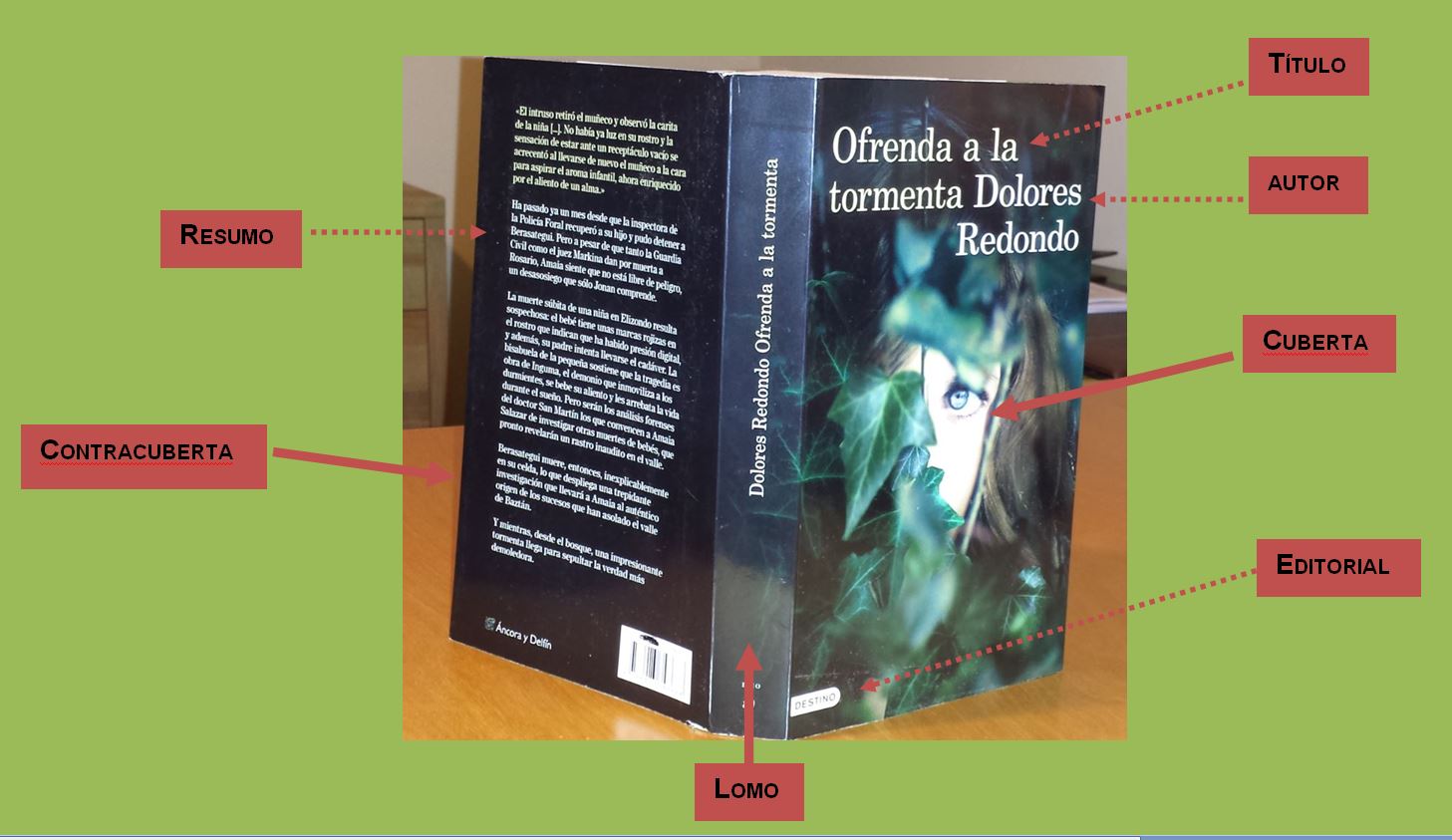 PARTE EXTERNA