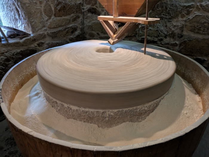 Muela moliendo maíz