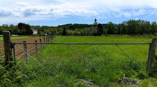 Verja con diseño de paralelogramo