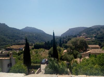 PALMA-LEO_(108).jpg