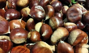 castañas