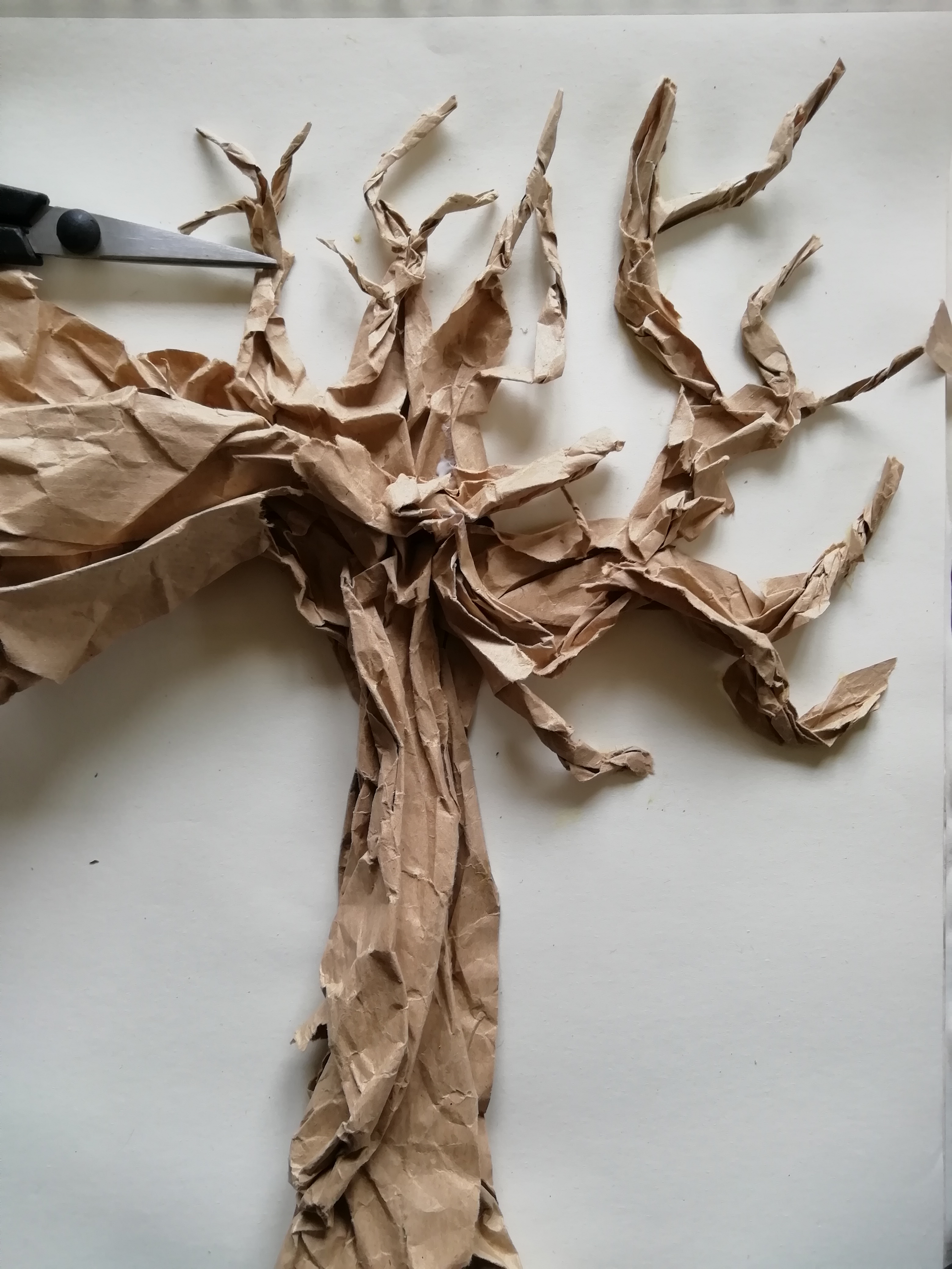 Imaxe de cerca da árbore