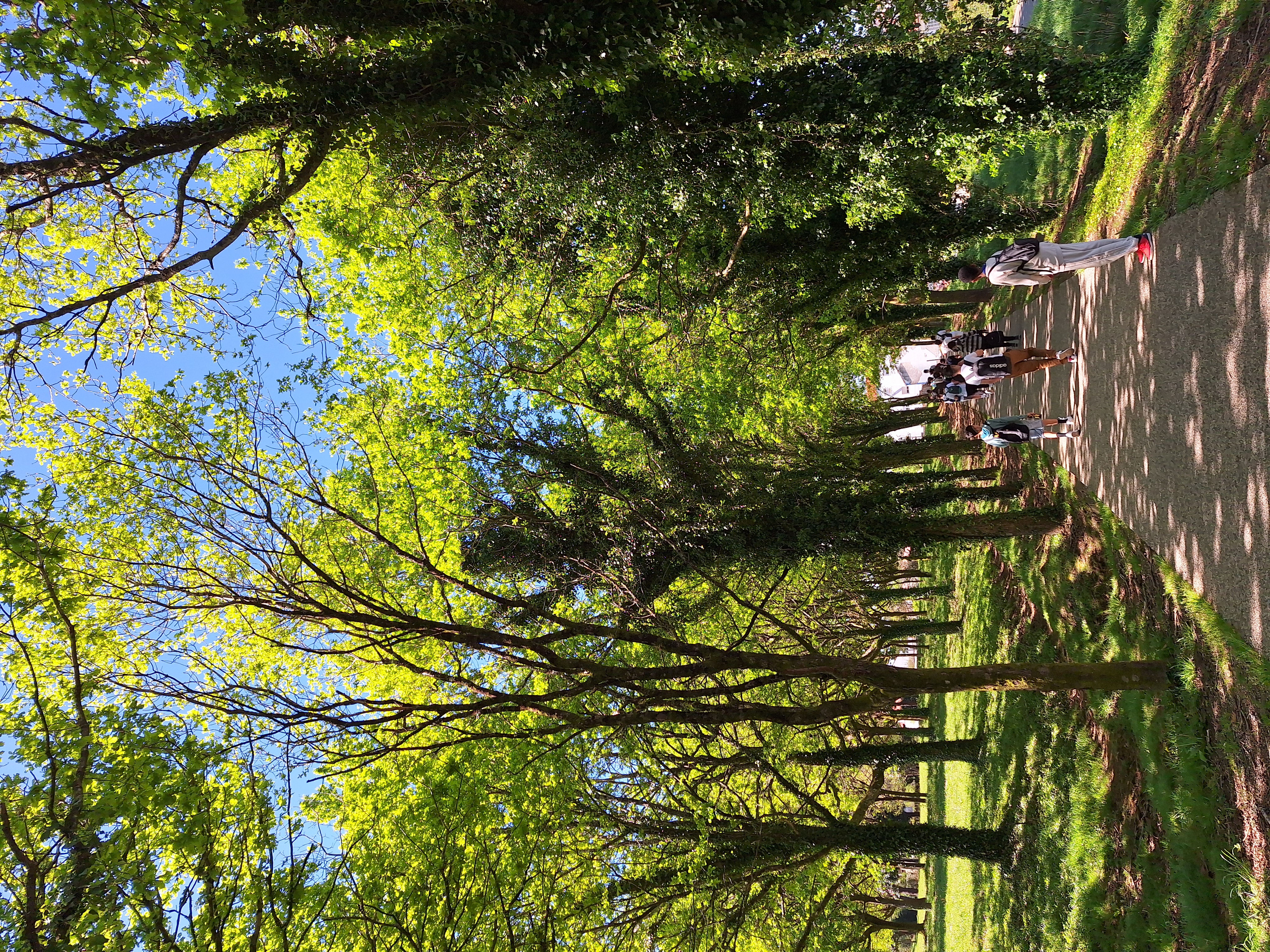 Chemin français de Compostelle