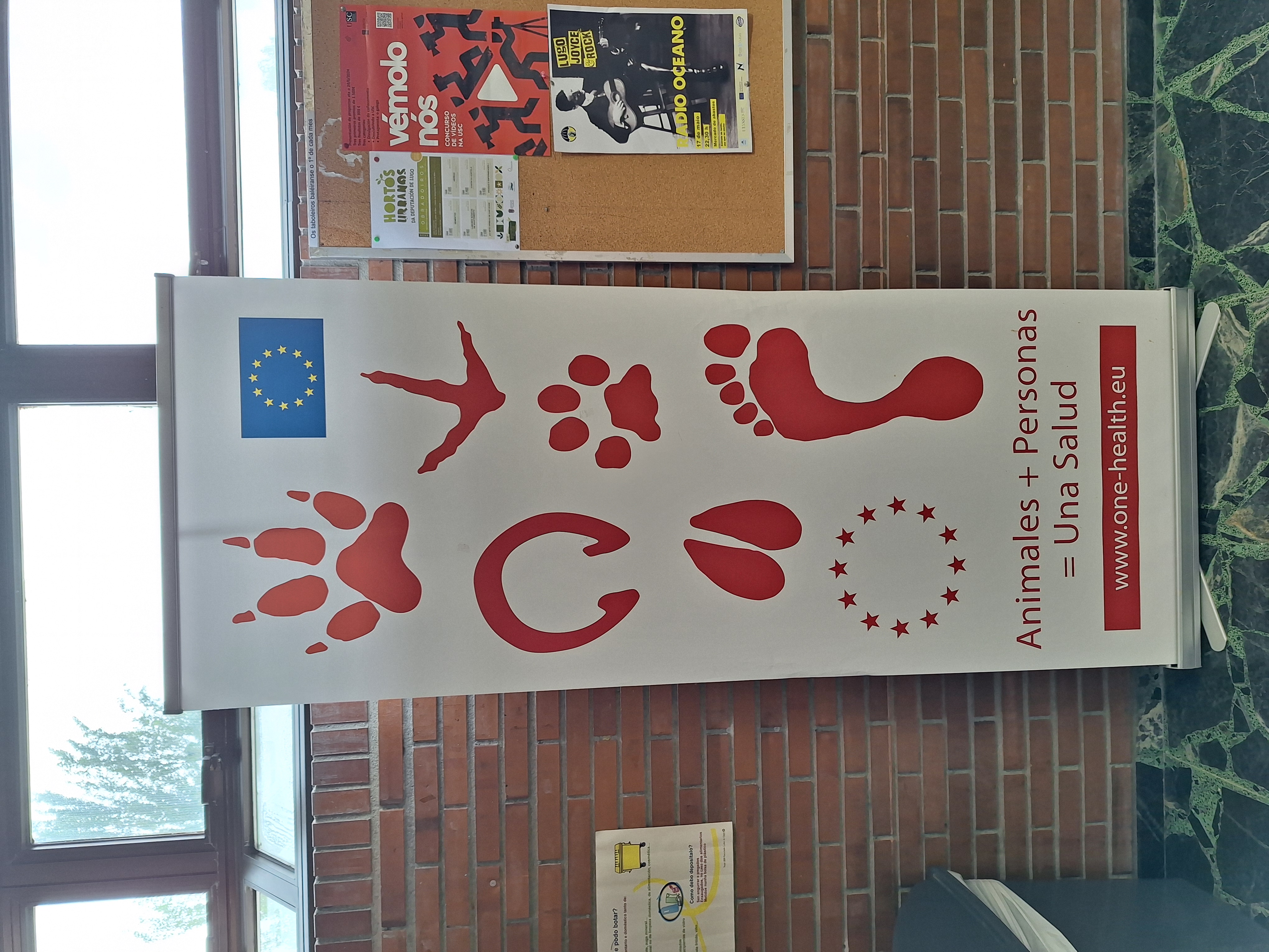 Facultade de veterinaria