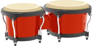 bongo