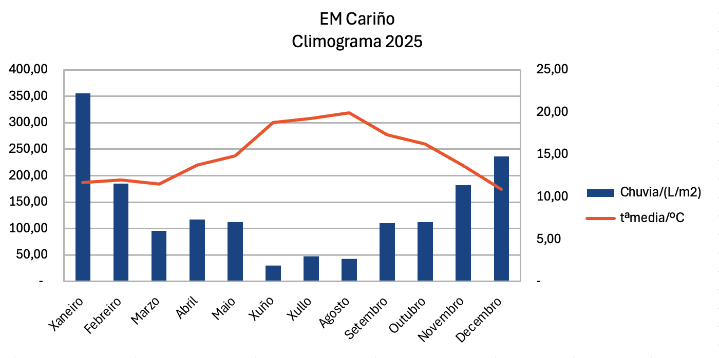 EM Carino 2025 grafica