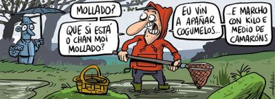 davila081113b
Palabras chave: COGOMELOS CIENCIA DAVILA HUMOR