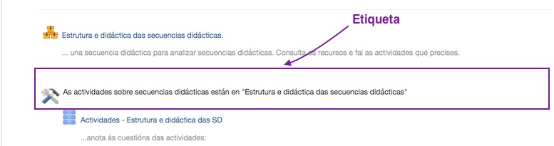 Recurso "Etiqueta" amosado nun curso virtual.