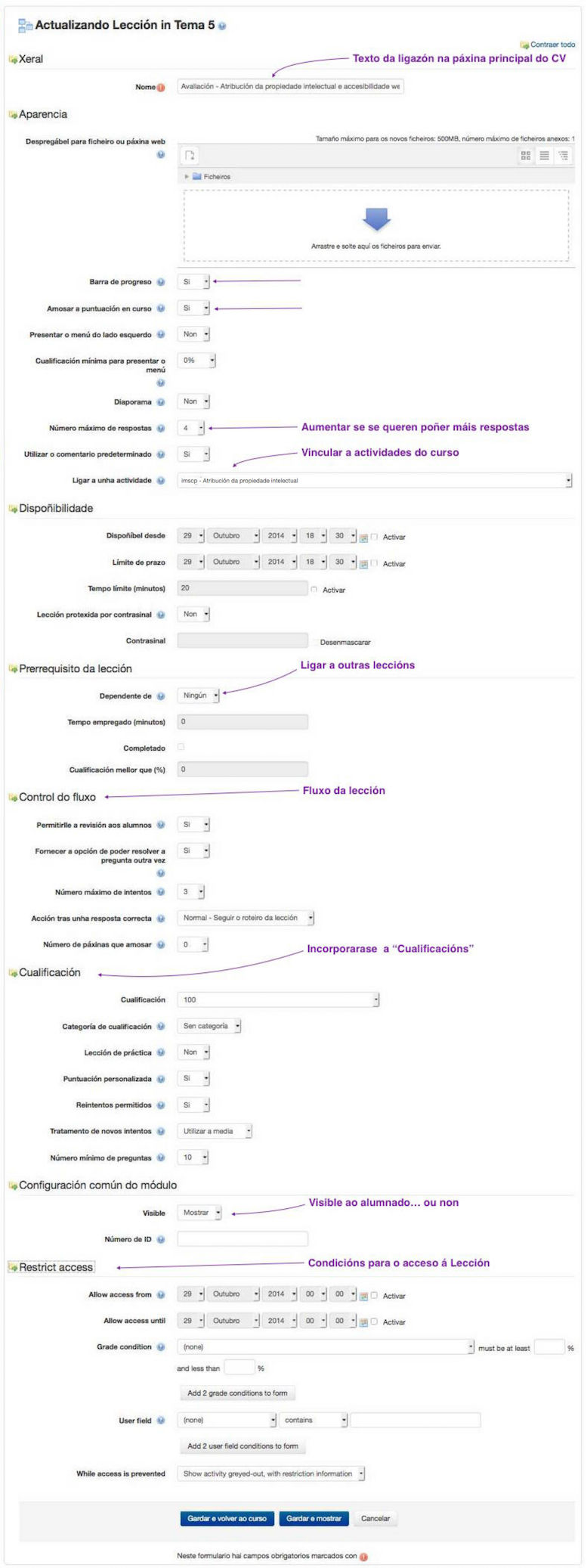 Formulario de configuración da actividade "Lección"