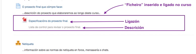 Ficheiro pdf fornecido na páxina dun curso virtual  