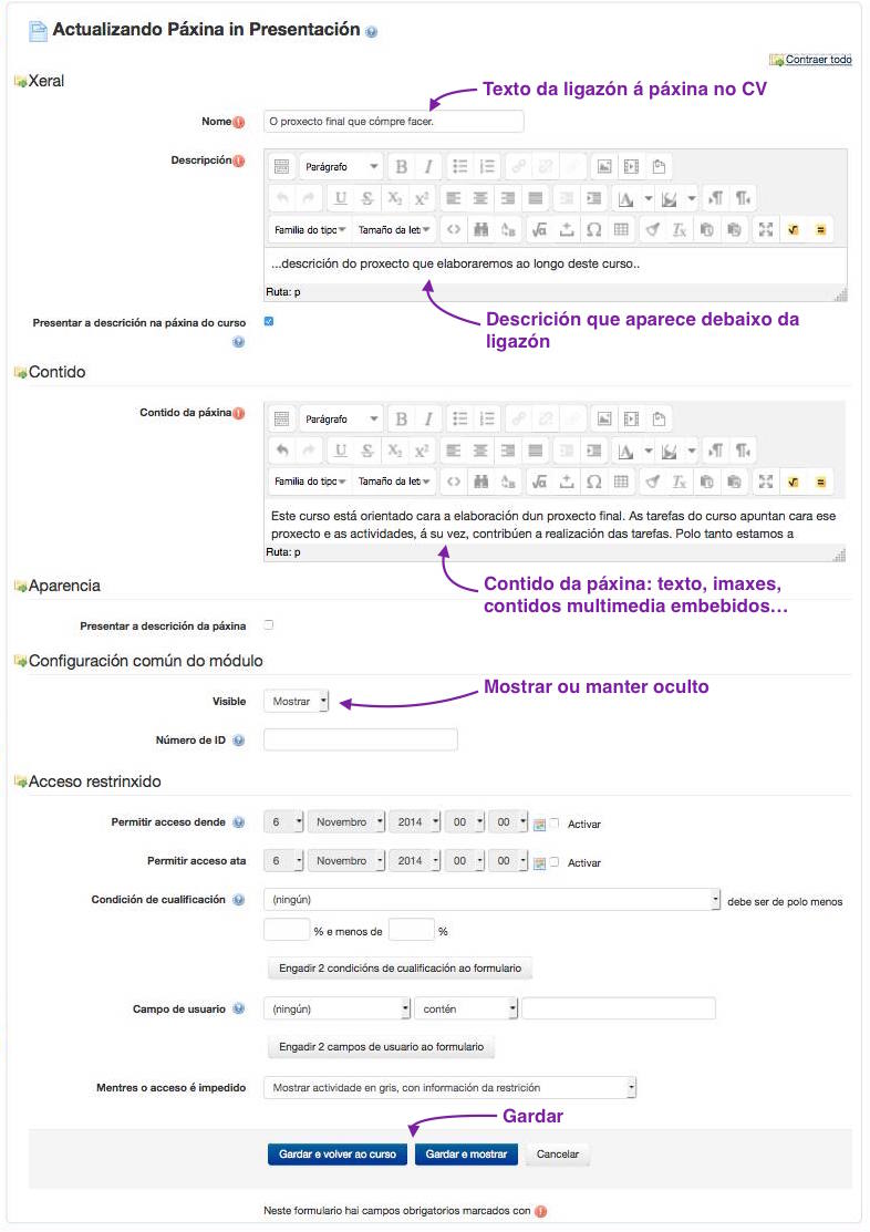 Formulario de configuración do recurso "Páxina"