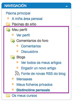 Opcións Meu Perfil Moodle.