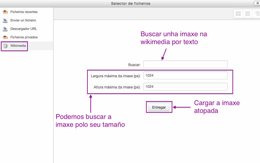 Opción Menú Selector Arquivos. Wikimedia. Moodle.