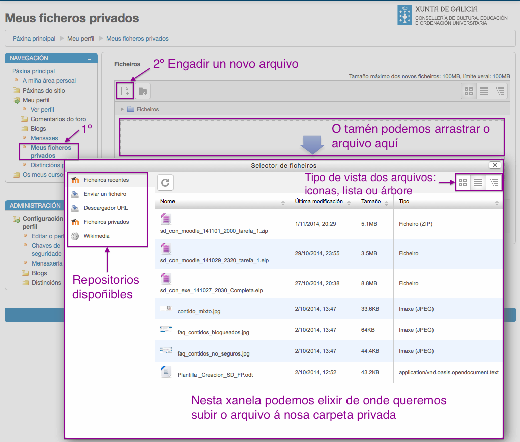 Pantalla de Moodle Selector de Arquivos.