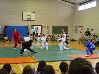 Exhibición deportiva
Exhibición deportiva no IES O COUTO de Ourense, a cargo do departamento de Educación física.
Palabras chave: festival, ourense, trofeos, exhibición
