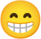 gran sorriso