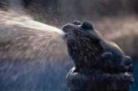 Foto de una fuente en forma de rana que expulsa agua por la boca.