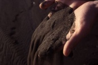 Foto de arena negra cayendo de unas manos.