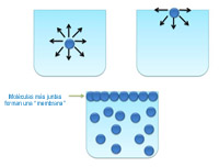 Dibujo del proceso de generación de tensión superficial. Se ven tres vasos de precipitados, dos arriba y uno en la parte de abajo de la imagen. El el vaso de arriba izquierda se ve una molécula de líquido en el centro del líquido con todas las fuerzas equilibradas representadas por flechas. En el vaso de arriba derecha se ve la molécula en la superficie con una semiesfera inferior de fuerzas en forma de flecha. En el vaso inferior se ve un fluido en el que las moléculas de la superficie están más juntas creando una membrana.