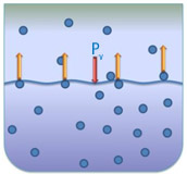 Dibujo del proceso de generación de presión de vapor. Se ve un vaso de precipitados lleno de líquido hasta la mitad y se representa la evaporación de moléculas (en forma de bolas) en forma de flechas.