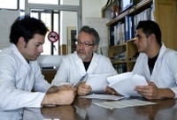 Compañeros conversando.