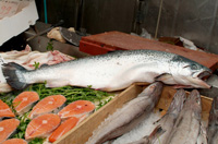  En la imagen podemos ver un puesto de pescado fresco con una pieza entera y las rodajas de un corte transversal, mostrando las características visuales del pescado fresco.