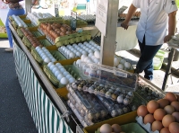 Se puede ver una foto de un puesto en un mercado al aire libre con huevos de diversos tipos a temperatura ambiente.