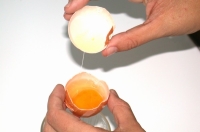 Se puede ver un par de manos que sujetan las dos mitades de un huevo usando una mitad para separar la yema de la clara.