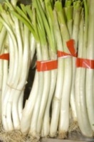 En la imagen podemos ver un manojo de puerros.