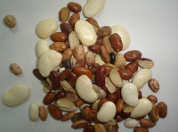 Se puede ver una cantidad de alubiasde diversos colores y tamaños.