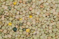 Se puede ver una cantidad de lentejas de diversos colores.