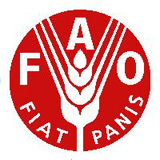 Logotipo de la Organización para la alimentación y agricultura de las Naciones Unidas: la FAO.