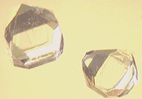 Se pueden ver los cristales del edulcorante Xylitol.