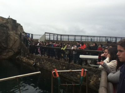 Visita lagoa focas

